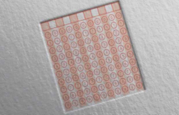 Üniversite Tercihi Yapmadan Önce Bilmeniz Gerekenler