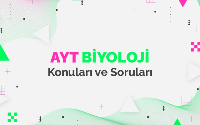 AYT Biyoloji Konuları ve Soru Dağılımları