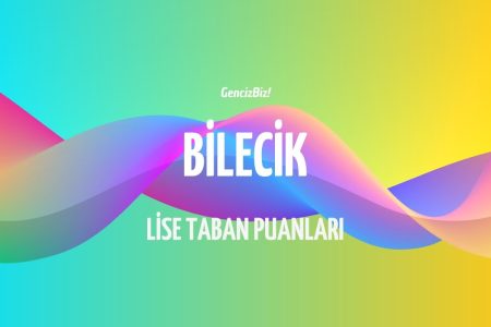 Bilecik Lise Taban Puanları ve Yüzdelik Dilimleri 2024 LGS