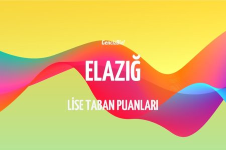 Elazığ Lise Taban Puanları ve Yüzdelik Dilimleri 2024 LGS